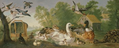 Unbekanntes Bild von Pieter Casteels